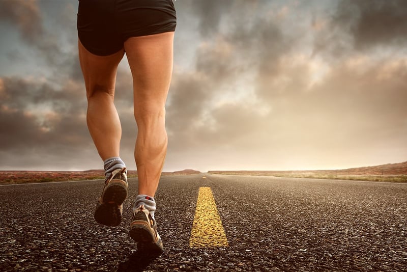 Fitness Journey